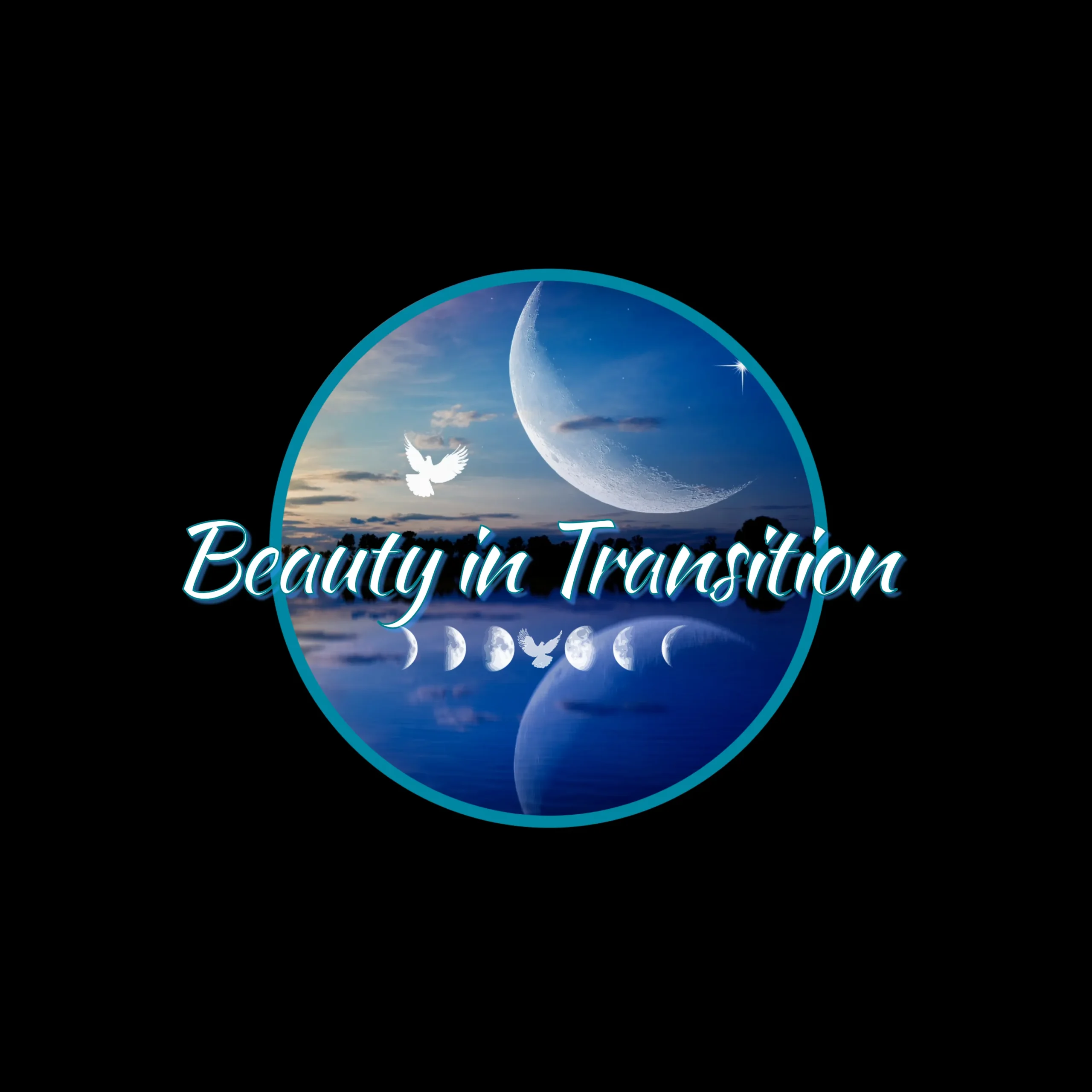 Beauty In Transition logo